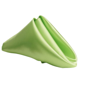 Linen Napkin - Apple Green Satin