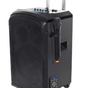 Speaker PA system